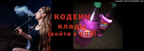 ECSTASY Алзамай
