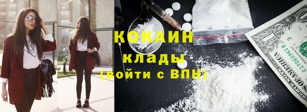 ECSTASY Алзамай