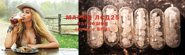 apvp Алексин